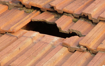 roof repair Swallowfields, Devon